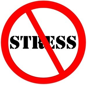 No Stress