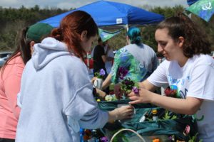 Flower Planting