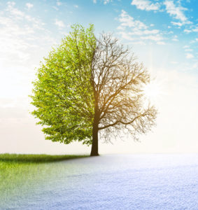 Winter spring registration
